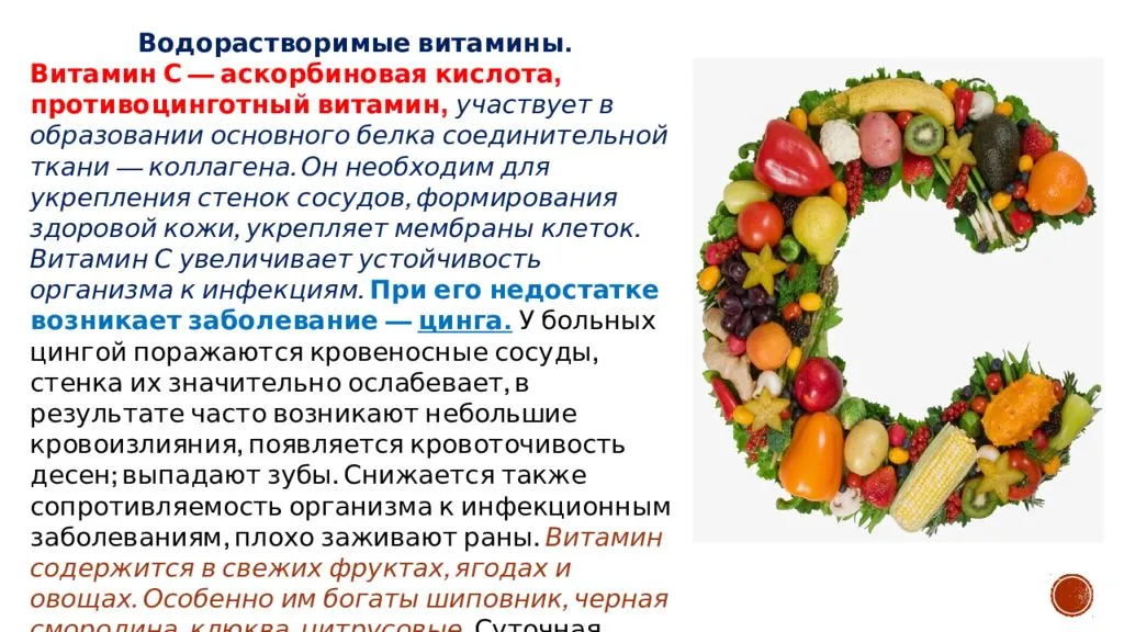 Болезни и вредители астры – лечение и профилактика