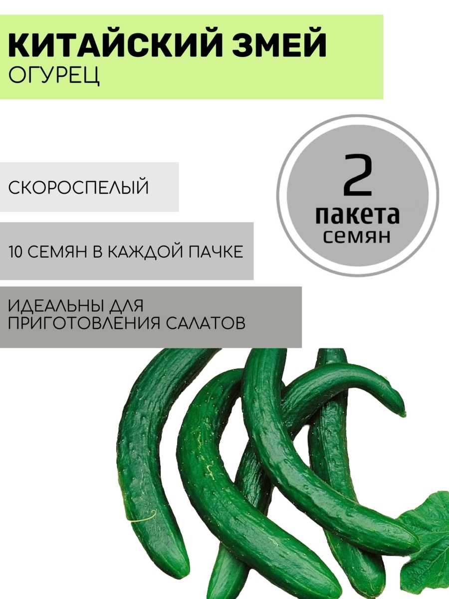Огурец китайский змей: описание сорта и выращивание, отзывы с фото