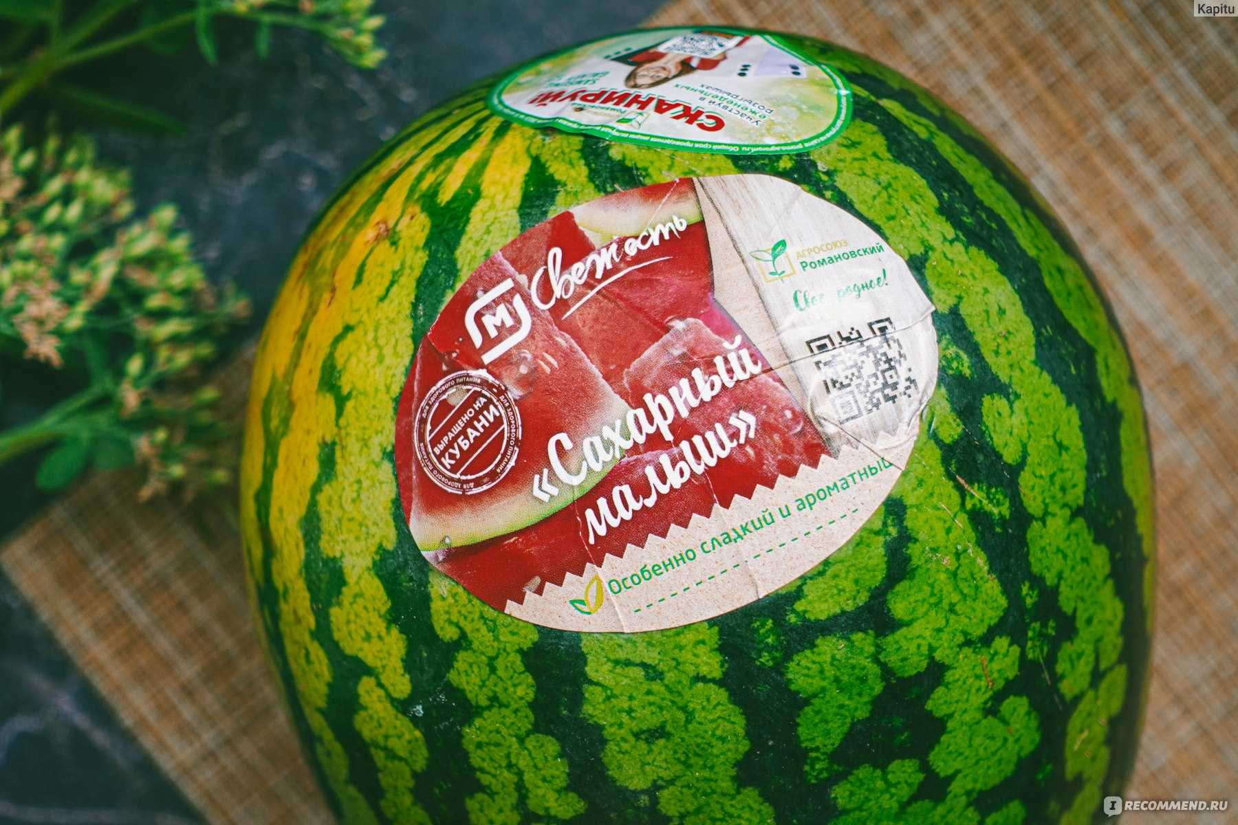 Арбуз сахарный малыш: описание сорта, фото, отзывы