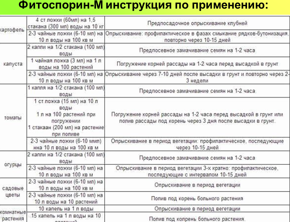 Фитоспорин для томатов: инструкция по применению, когда обрабатывать помидоры от фитофторы, опрыскивание во время плодоношения в теплице и открытом грунте