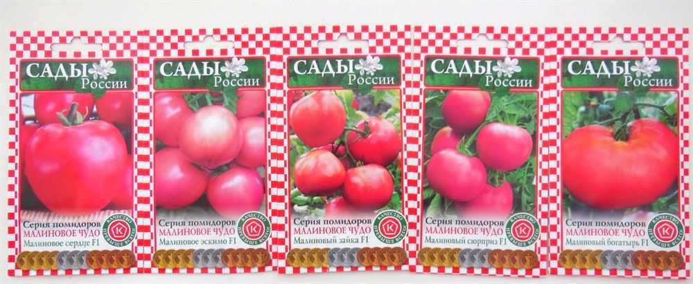 Томат малиновый гигант: характеристика и описание сорта