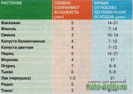 На какой день прорастают семена