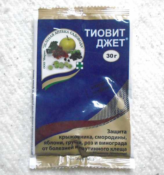 Многофункциональный препарат тиовит джет: когда обрабатывать виноградник и другие растения