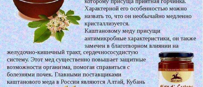 Чем полезен каштановый мед как его принимать