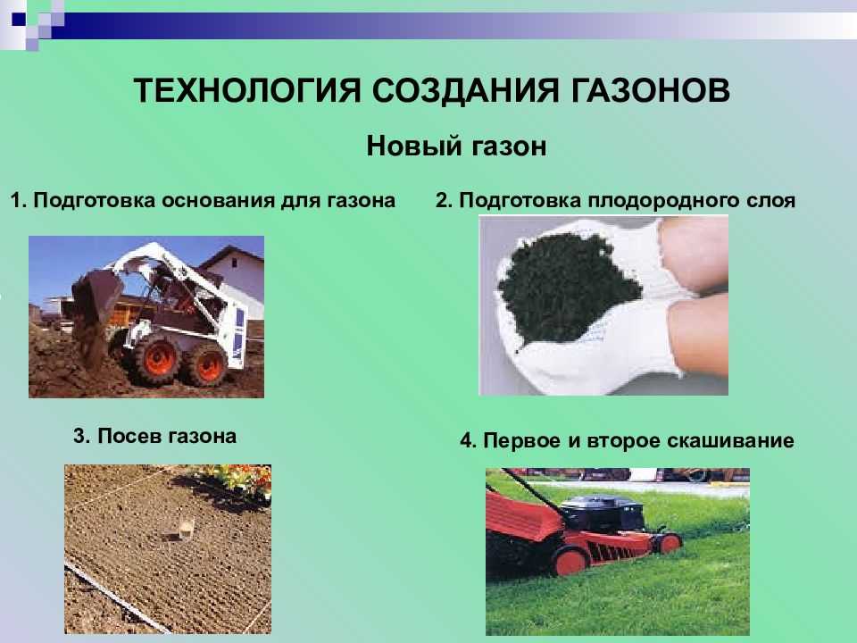 Лучшие газонные травы для посадки в различных условиях!