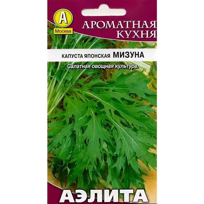 Капуста японская (мизуна): полезные свойства, популярные сорта, правила посадки и нюансы выращивания, отзывы огородников