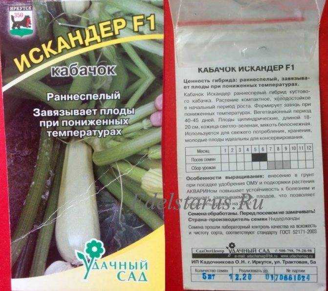Кабачок кавили — уникальный, раннеспелый, высокоурожайный гибрид