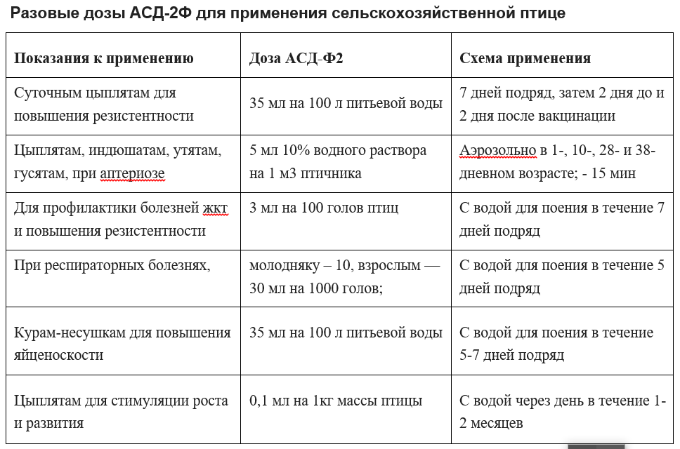 Полезные и ядовитые травы для кур с фото и названиями
