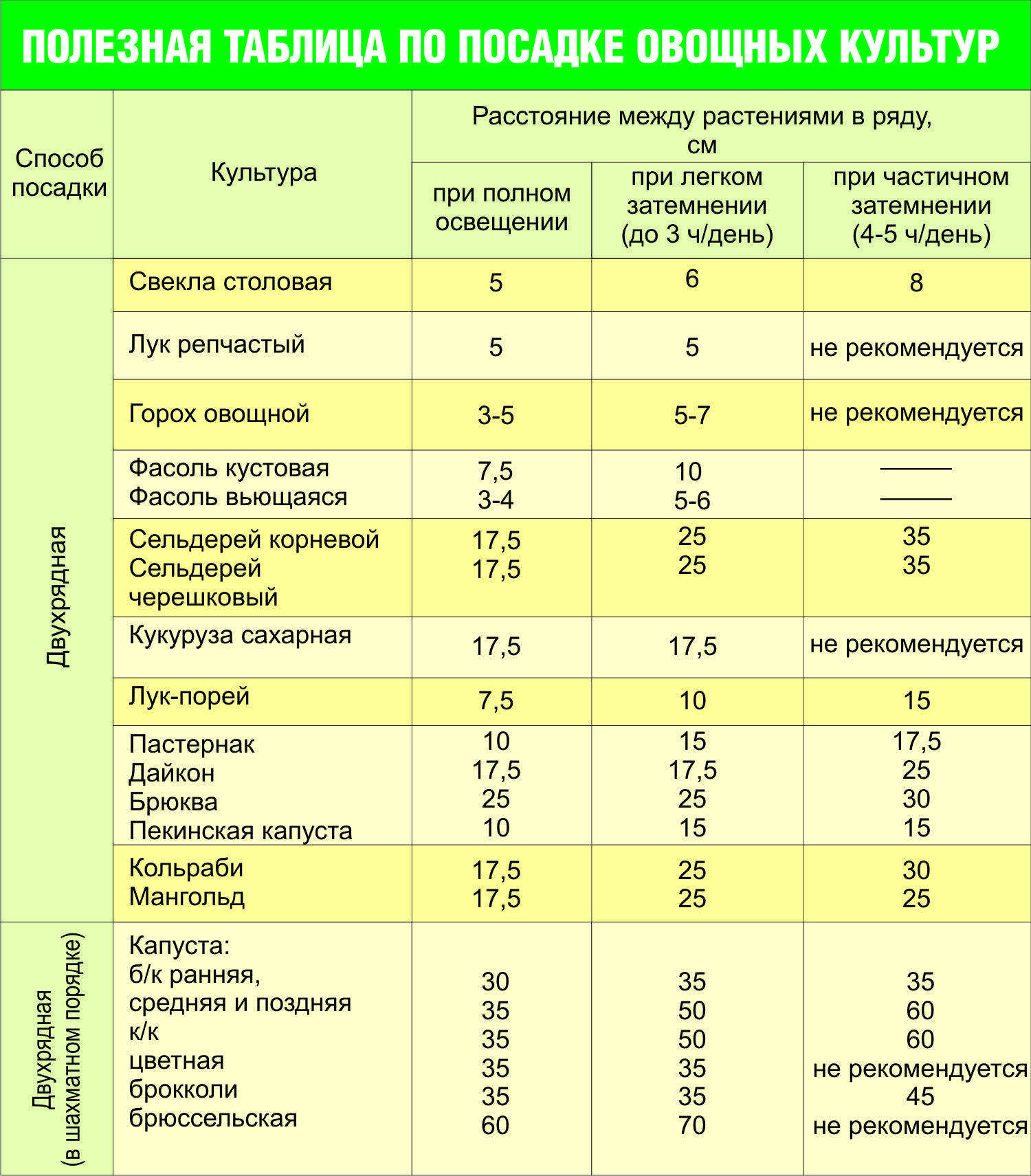 Посадка лука рассадным способом и севком: как получить крупные луковицы? видео — ботаничка