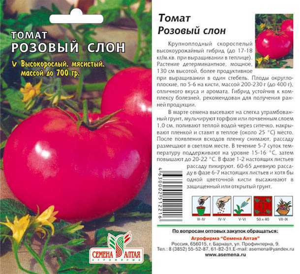 Томат «малиновый великан»: характеристика и описание сорта, отзывы, фото, урожайность