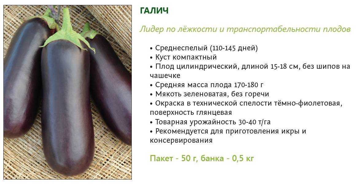 Баклажан «алмаз» – самый популярный сорт