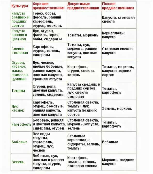 Сколько и как растет горох до полного созревания и на какой почве?