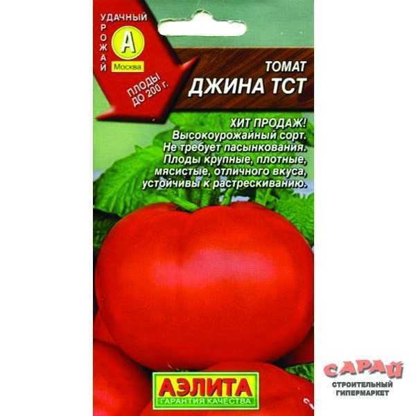 Помидор джина - описание сорта с фото, характеристика, урожайность отзывы