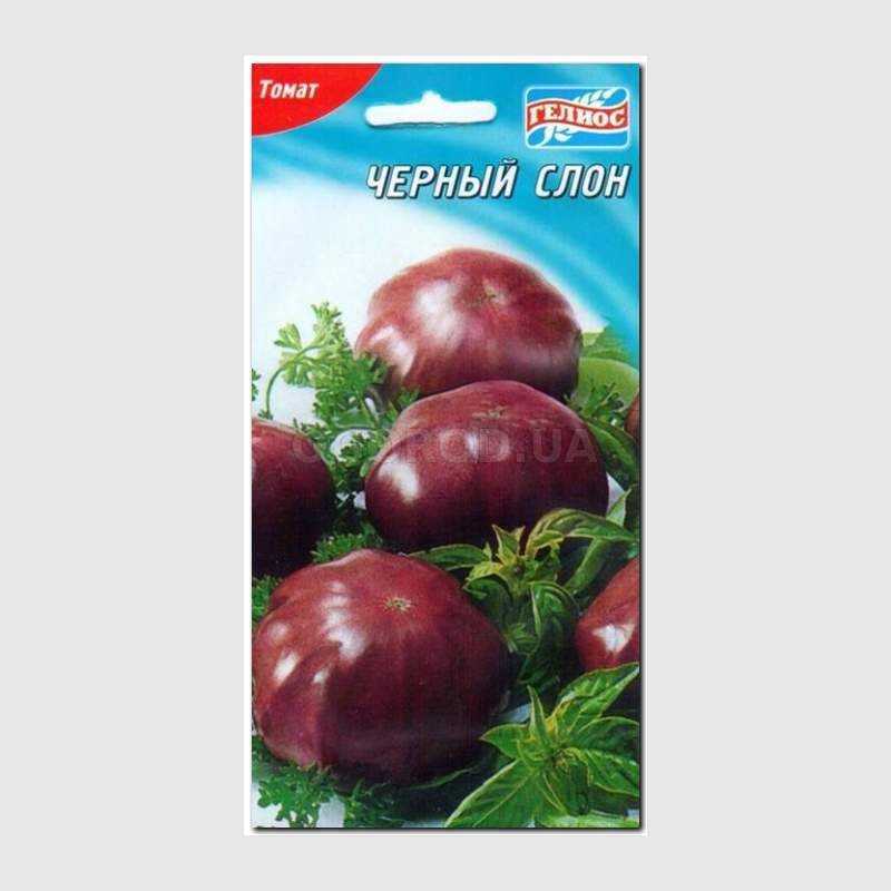 Характеристика и описание сорта томата черный крым