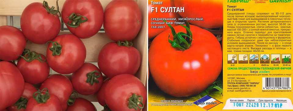 Томат султан: описание сорта, фото, отзывы, урожайность