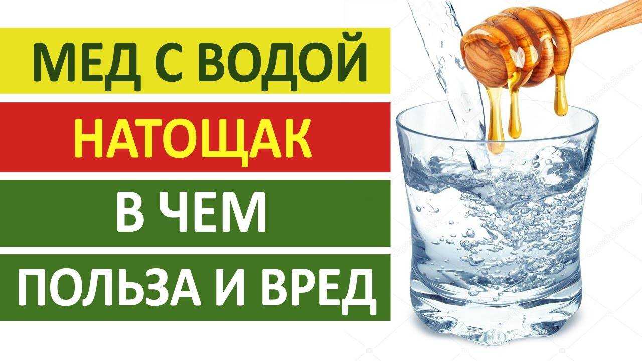 Как правильно употреблять мед с пользой — 10+ простых правил