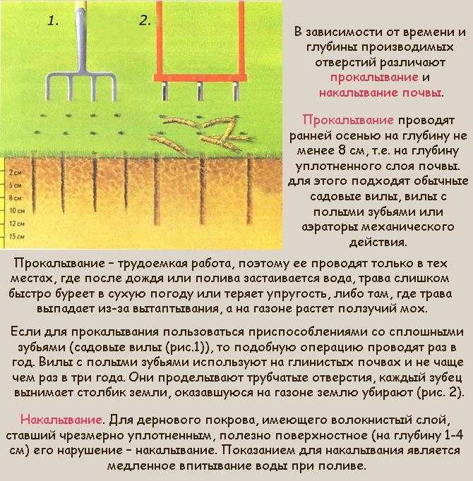 Cкарификатор для газона - назначение и особенности выбора техники для ухода за травяным покрытием