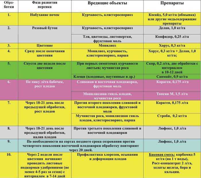 Как вырастить персики?