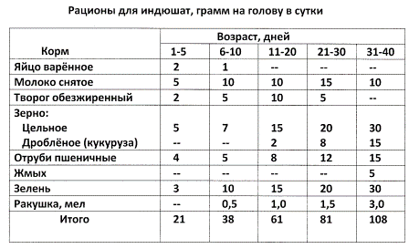 Какой травой можно кормить кур несушек и бройлеров