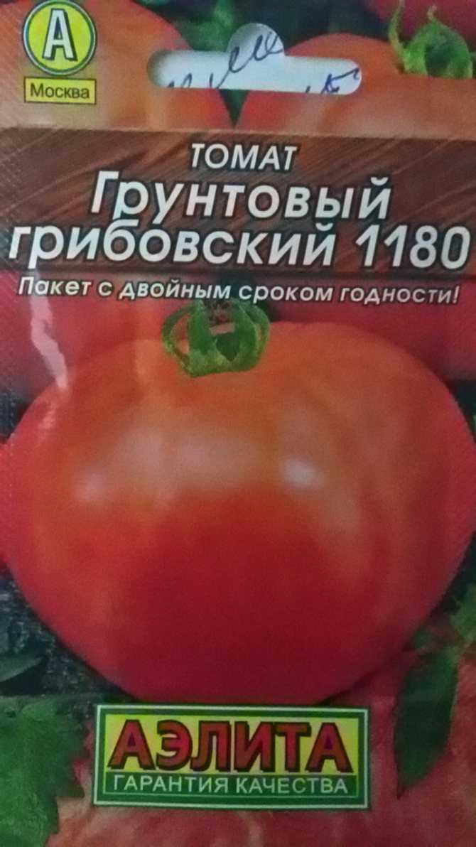 Томат грунтовый грибовский отзывы фото