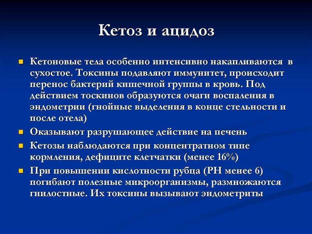 Что такое кетоз у коровы и КРС (симптомы, как лечить заболевание)