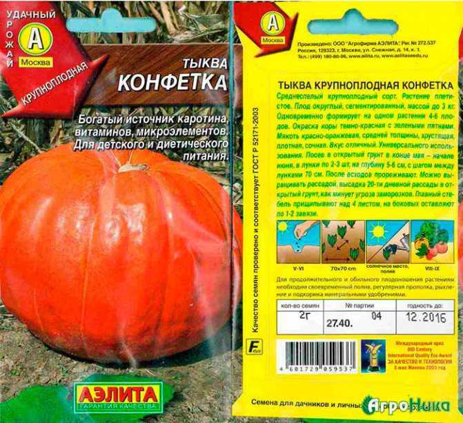 Сорт тыквы «россиянка»: характеристики, свойства, методы
