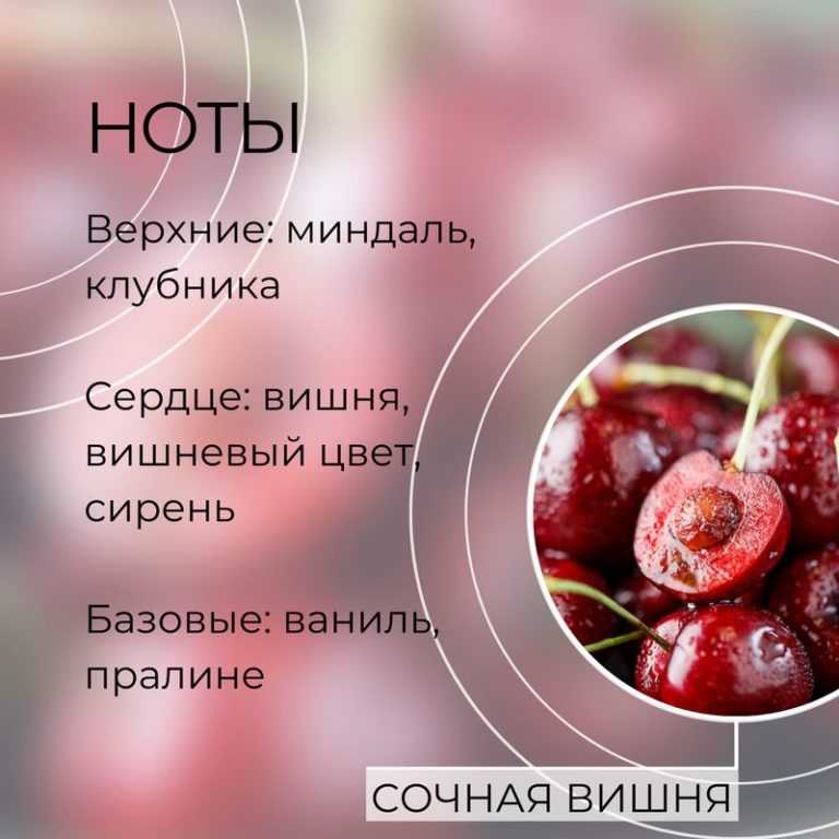 Об обыкновенной вишне фея: описание и характеристики сорта, уход и выращивание