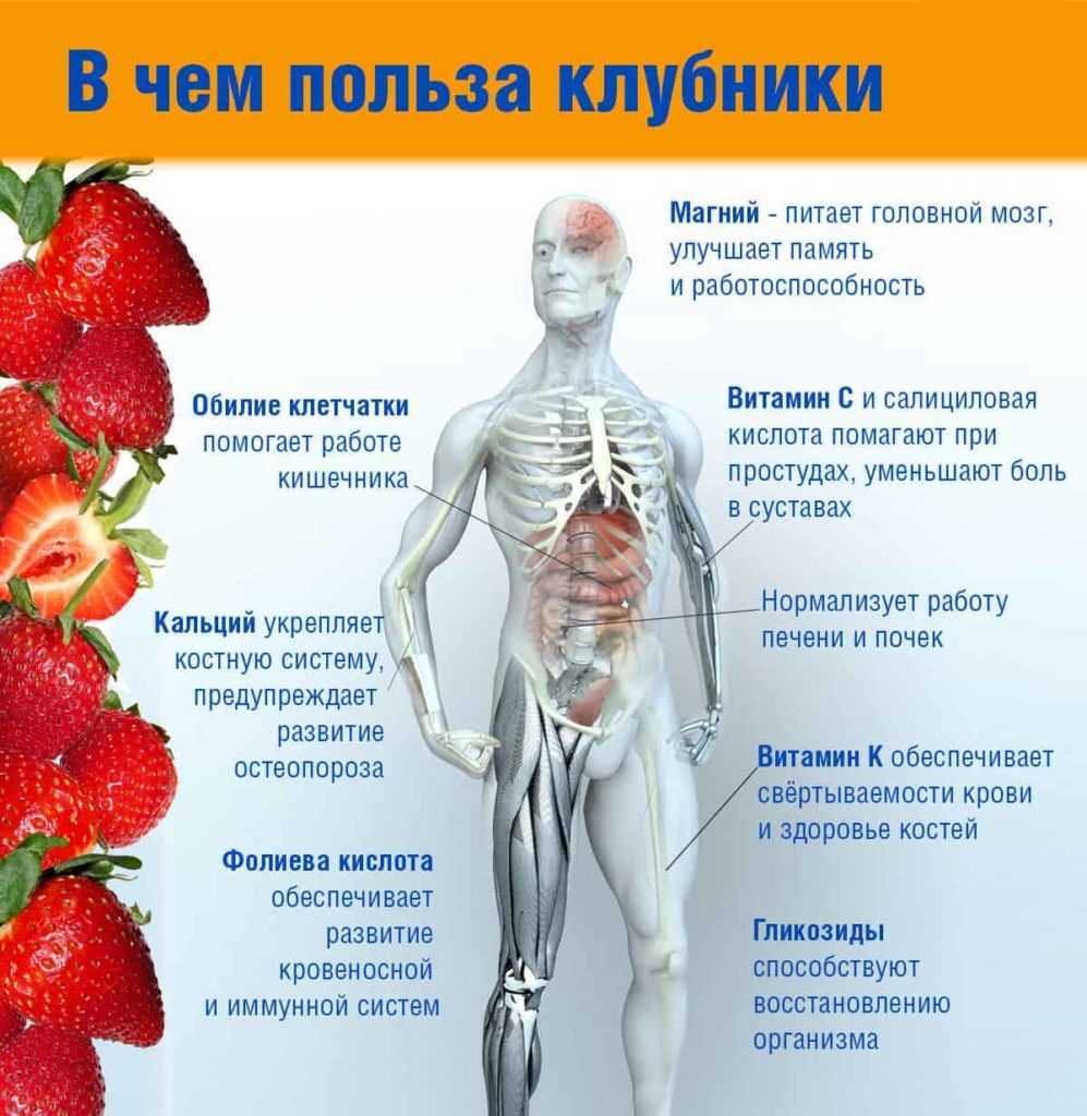 Клубника будет расти как сумасшедшая, если так подкормить ее в мае