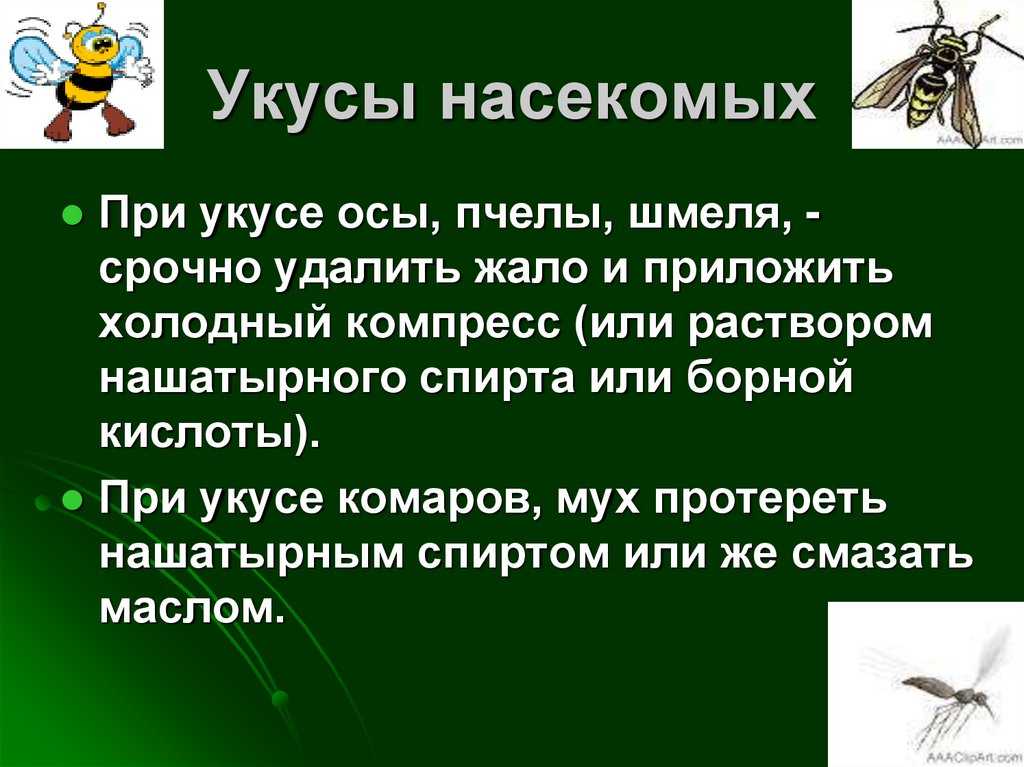 В губу укусила пчела: способы первой помощи и возможные осложнения