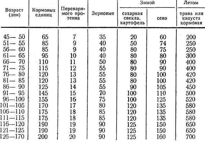 Сколько весят кролики разных пород по месяцам - omvesti.com