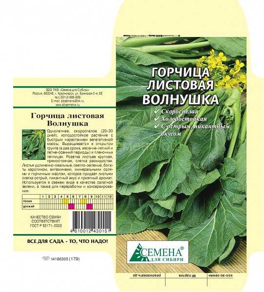 Салаты из листовой горчицы. 3 рецепта