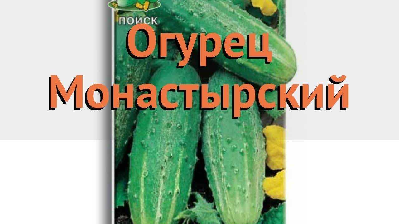 Сорт огурцов белый ангел: характеристика и описание, особенности выращивания и ухода. профилактика и борьба с болезнями и вредителями сорта. – календарь садовода