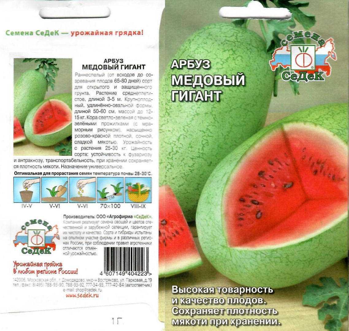 Семена арбузов – ранние сорта, ультраранние, выращиваемы в ссср, голландские гибриды + фото