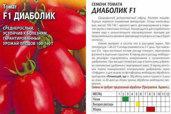 Томат 'аннабель f1': фото