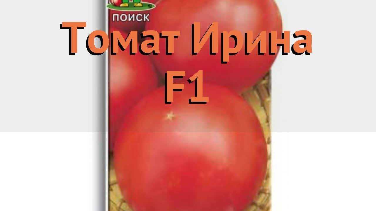 Высокоурожайный гибрид отменного вкуса — томат «ирина»: характеристика и описание сорта, фото