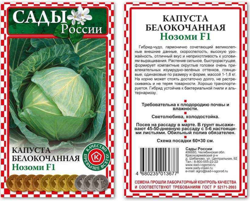Капуста харьковская зимняя: описание сорта, фото, отзывы