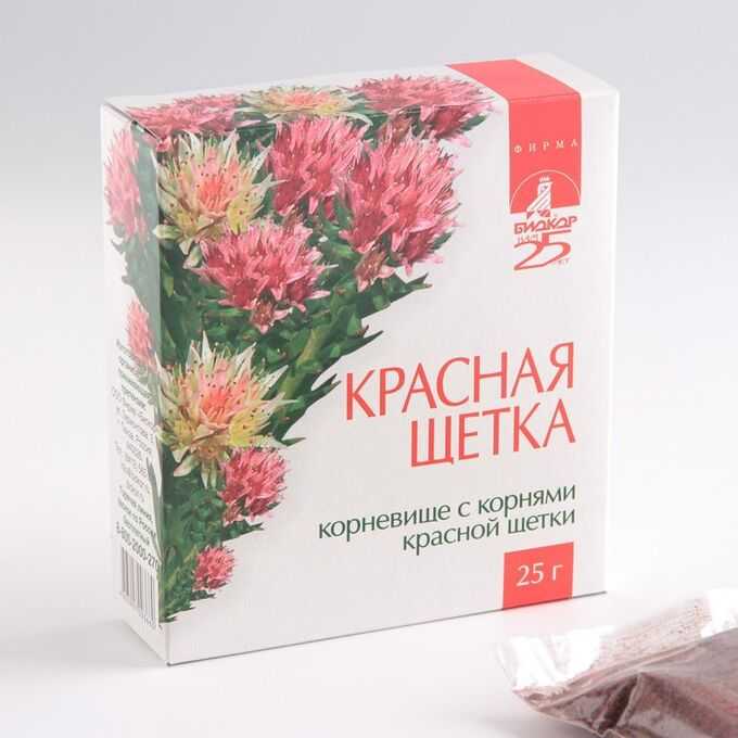 Как заваривать красную щетку. лечебные свойства растения красная щетка - применение отваров и настоек, показания и противопоказания | здоровье человека