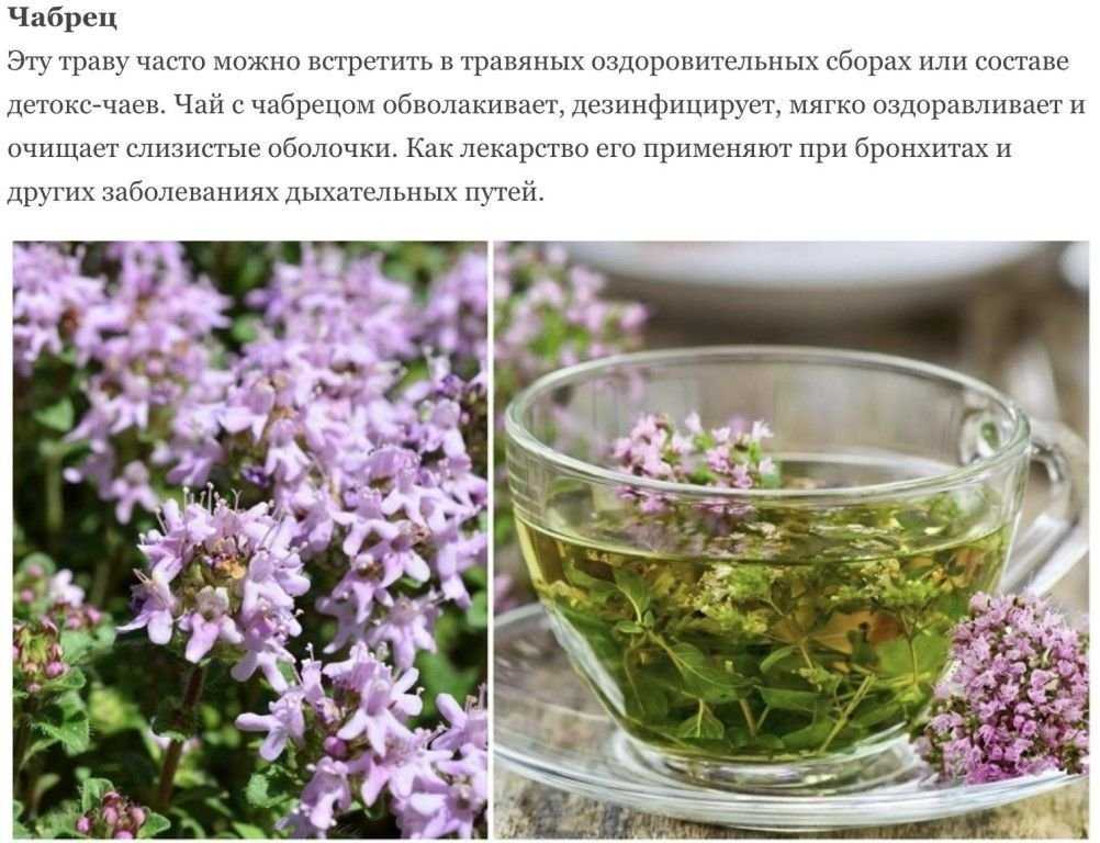 Травяные чаи: как выбрать лучший чай для бодрости или расслабления, похудения или нормализации давления