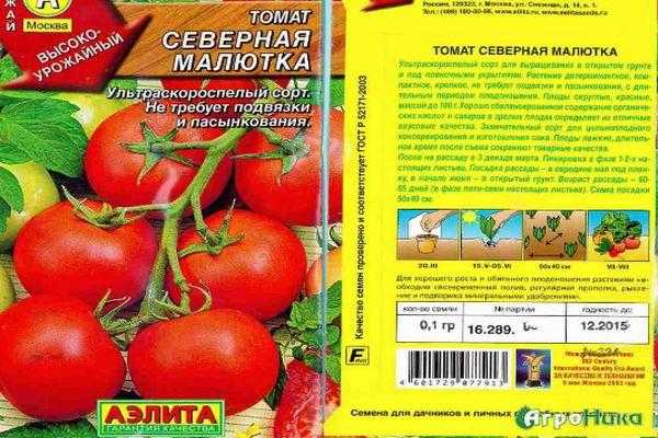 Томат северная малютка: характеристика и описание сорта с фото