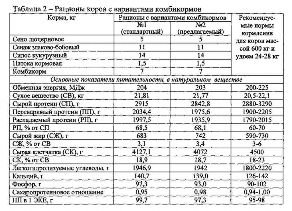 Отечная болезнь поросят: симптомы, лечение, профилактика