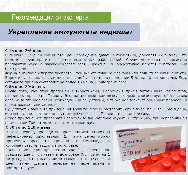 Метронидазол для индюков