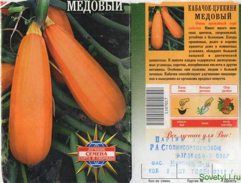 Тыква крошка (медовая): характеристика и описание сорта, отзывы тех, кто его выращивал, фото поспевших "крох"
