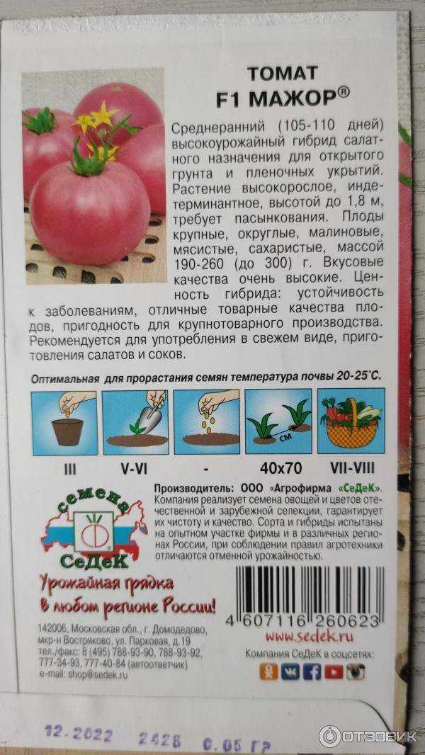 Томат мажор: описание нюансов ухода и урожайности помидоров, фото кустов и плодов, отзывы опытных огородников
