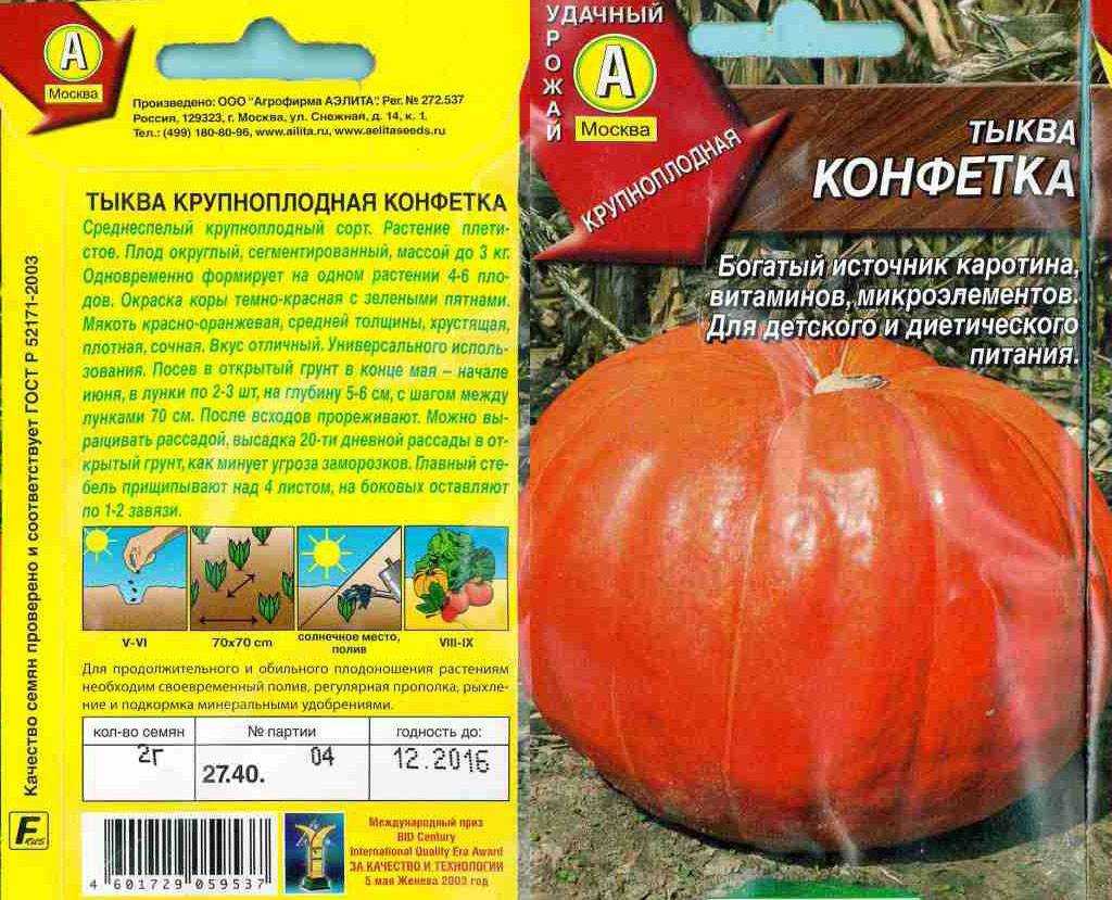 Сорта кустовой тыквы: выращивание и уход в открытом грунте, фото и описание ухода, как формировать и прищипывать