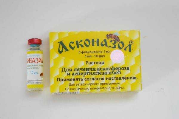 Лечение аскосфероза у пчел народными средствами: рецепты и рекомендации опытных пчеловодов - folkremedy.ru