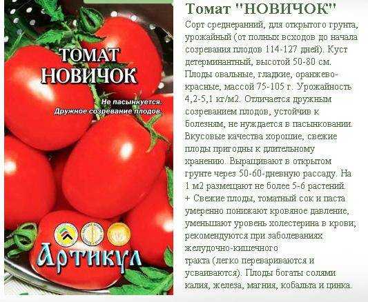 Томат гаспачо: характеристика и описание сорта, видео и фото куста, отзывы тех кто сажал помидоры об их урожайности