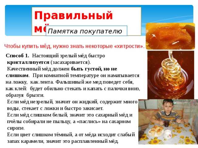 О майском меде: почему так ценится, какой должен быть, почему не засахаривается