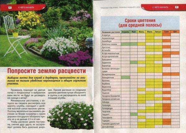 Когда высаживать георгины в открытый грунт весной: сроки, как сажать