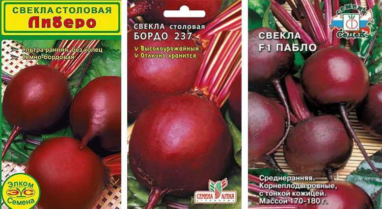 Сорта свеклы, лучшие - с описанием и фото. сорта для разных регионов | сад и огород
сорта свеклы, лучшие - с описанием и фото. сорта для разных регионов | сад и огород