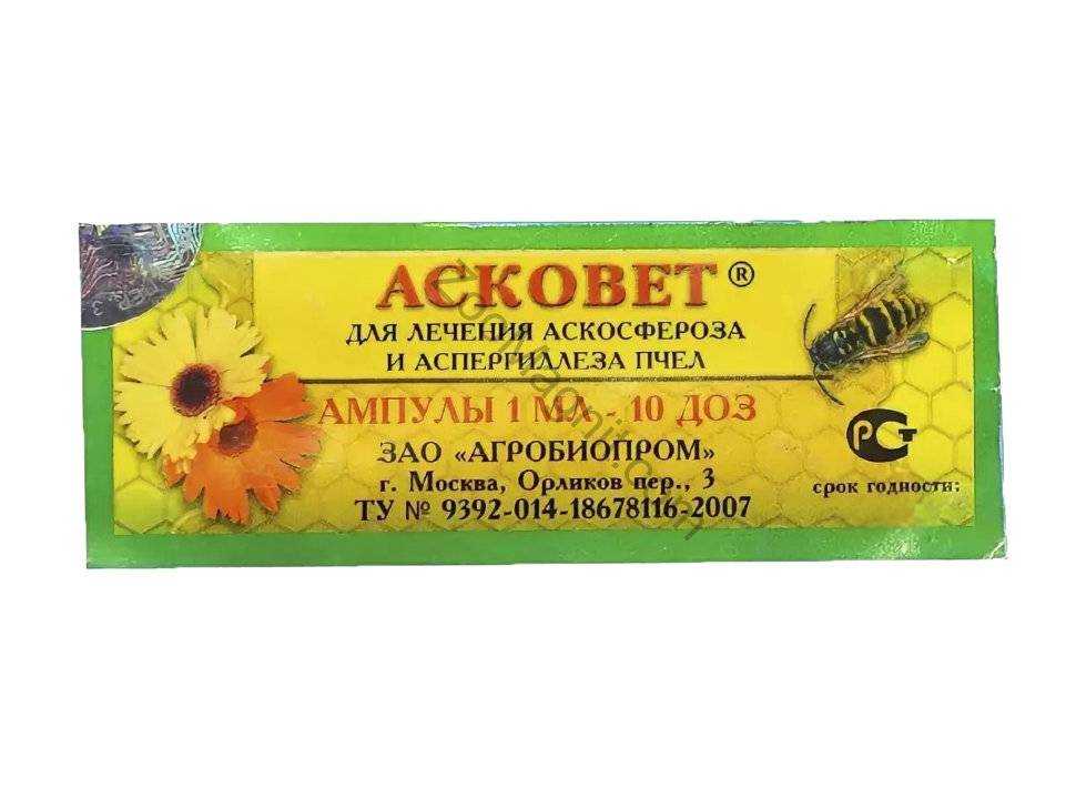 Аскофероз пчёл. реферат. медицина, физкультура, здравоохранение. 2013-12-06